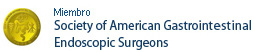 Society of American Gastronomical Endoscopic Surgeons